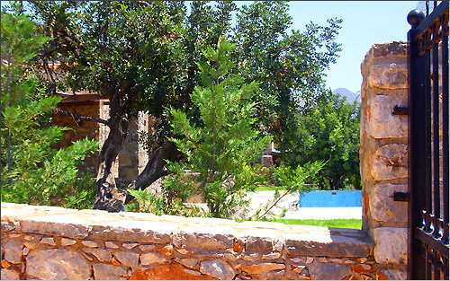 Villa (1) - Swimming pool and terrace